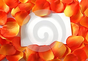 Blank card in orange petals