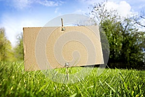 Blank cardboard sign in nature ready for message