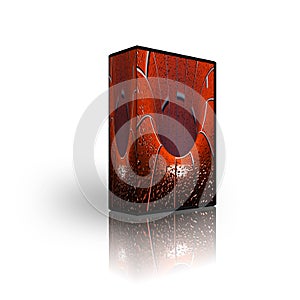 Blank CD DVD box template