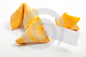 Blank Chinese fortune cookies