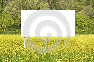 Blank commercial advertising billboard immersed in a rural scene against a yellow flowery field - image with copy space