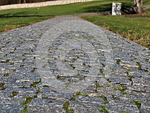 Blank copy space on textured stone paved walkway background