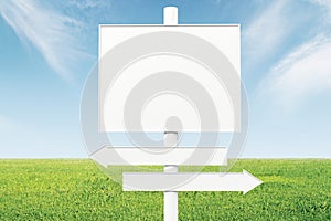 Blank direction signs on a background of green grass and blue sk