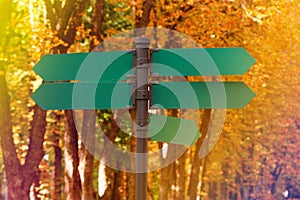 Blank directional road signs against autumn foliage. Green metal arrows on the signpost.