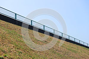 blank dry green grass slope land background on summer season.