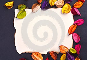 Blank edged burned paper