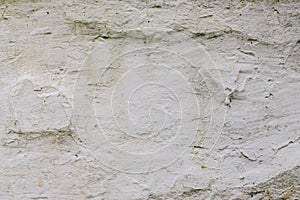 Blank ÃÂement wall. background