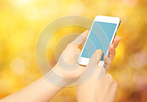 Blank empty phone device in hands of woman on nature in autumn