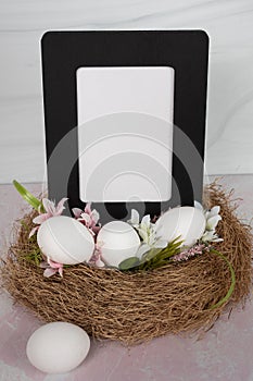 Blank empty white poster sign with no words in a black wood frame sitting in a bird nest with eggs