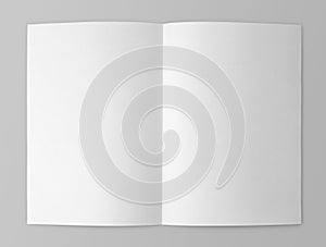 Blank folded flyer on gray