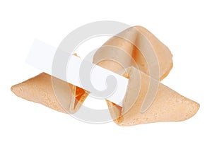 Blank Fortune Cookie