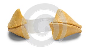 Blank Fortune Cookie