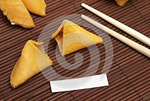 Blank Fortune Cookie Message