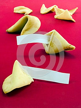 Blank fortune cookie messages 3