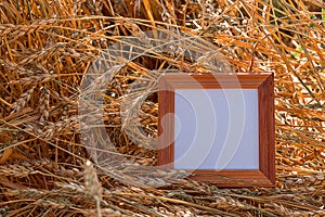 Blank frame in the ears of wheat