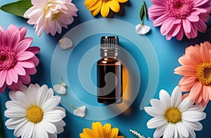 blank glass essence oil bottle with chamomile flowers on blue background. natural cosmetics