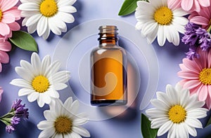 blank glass essence oil bottle with chamomile flowers, flatlay composition. natural cosmetics