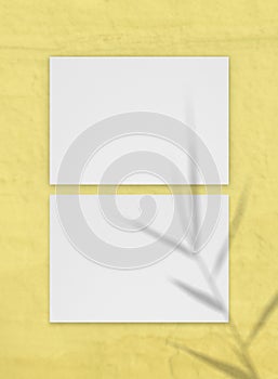 Blank gorisontal paper sheet on yellow wall with leaves gray shadow overlay