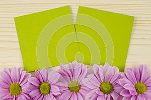 Blank green cards and pink flowers on wooden background