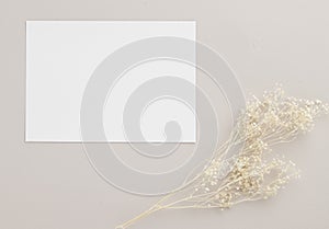 Blank greeting card invitation Mockup 5x7 on Brown envelope with dried flowers on beige background, flat lay, mockup