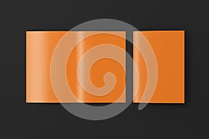 Blank half-folded flyer leaflet