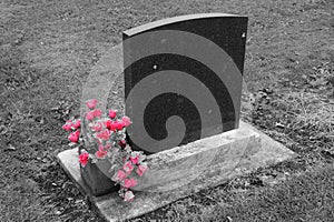 Blank headstone with pink flowers 2