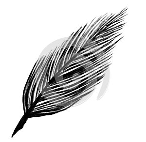 blank ink calligraph feather drawing illustration