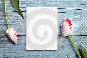 Blank invitation card mockup, white greeting card with pink tulip flower on blue wooden background, flat lay. Top view of empty