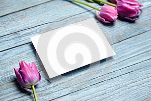 Blank invitation card mockup, white greeting card with purple tulip flower on blue wooden background. Greeting card mockup with