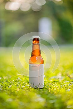 Blank Label Beer Bottle in Grass