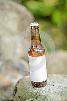 Blank Label Beer Bottle on Rock