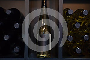 Blank Labeled White Wine Bottles