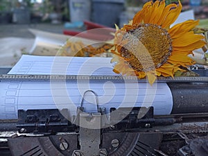 Blank line note paper on an old typewriter retro vintage with wilted sunflower.