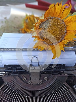 Blank line note paper on an old typewriter retro vintage with wilted sunflower. Life story concept