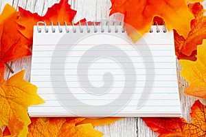 Blank lined notepad on weathered wood with fall leaves
