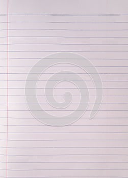 Blank lined white paper sheet from notebook on white background with blue lines