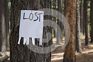 A blank lost sign