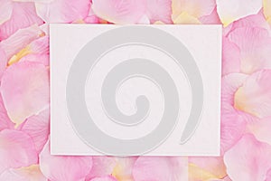 Blank love greeting card on pink rose flower petals