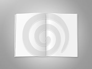 Blank Magazine Pages