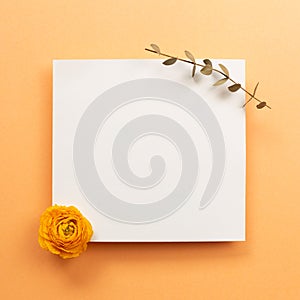 Blank memo pad with dry flower on orange background