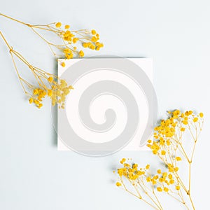 Blank memo paper with yellow baby`s breath, gypsophila dry flowers on light blue background