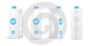 Blank Milk / Juice Carton Vector Illustrations for Mockup