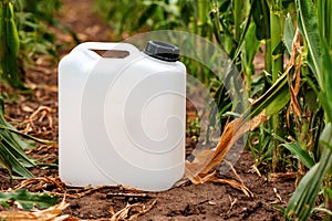 Blank mockup white plastic jug for herbicide chemical in cultivated corn field