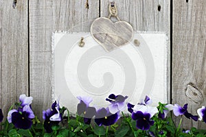 Blank muslin sign with purple flowers (pansies)