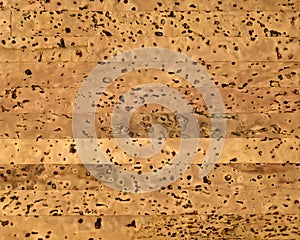 Blank natural cork texture