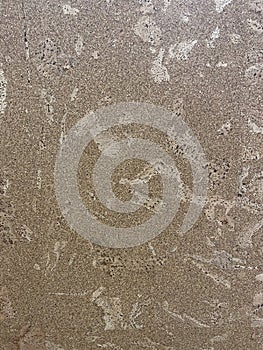 Blank natural cork texture