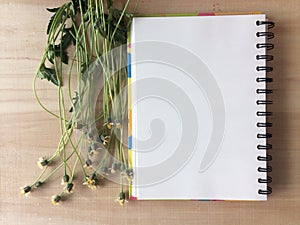 Blank notbook