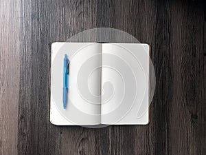 Blank notebook and blue pen