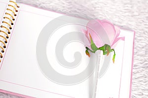 Blank notebook and rose on a white carpet
