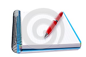 Blank notebook sheet with pen